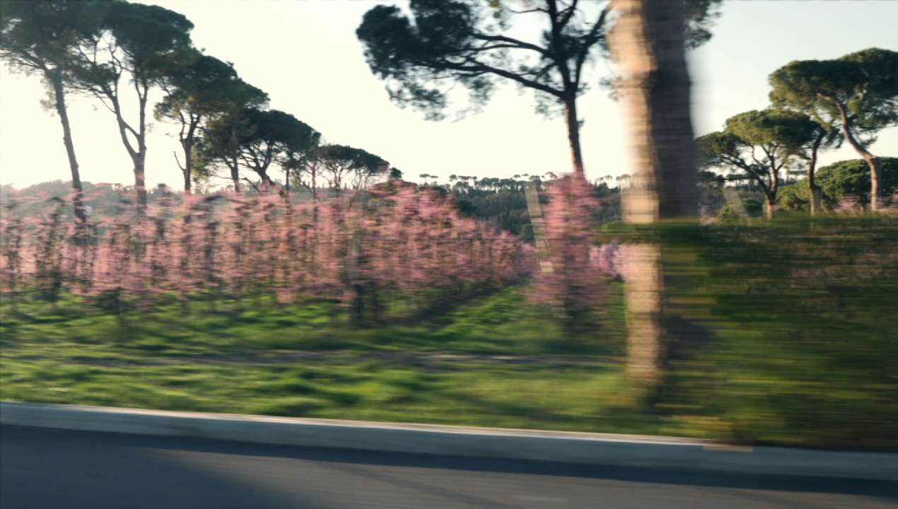 vlcsnap-2019-09-19-16h57m26s682